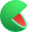 split